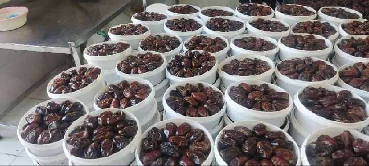 قیمت خرید خرما کبکاب + فروش ویژه