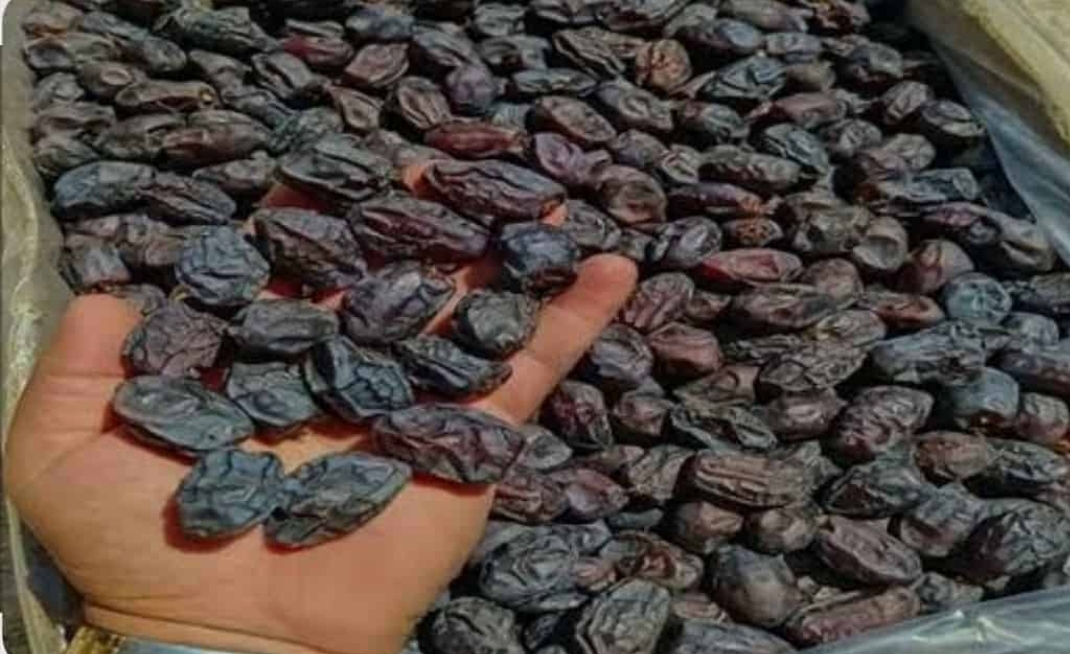 خرما کبکاب + قیمت فروش استثنایی 6