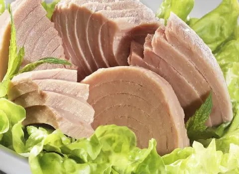 تن ماهی گیدر و خرید عمده برای سراسر ایران