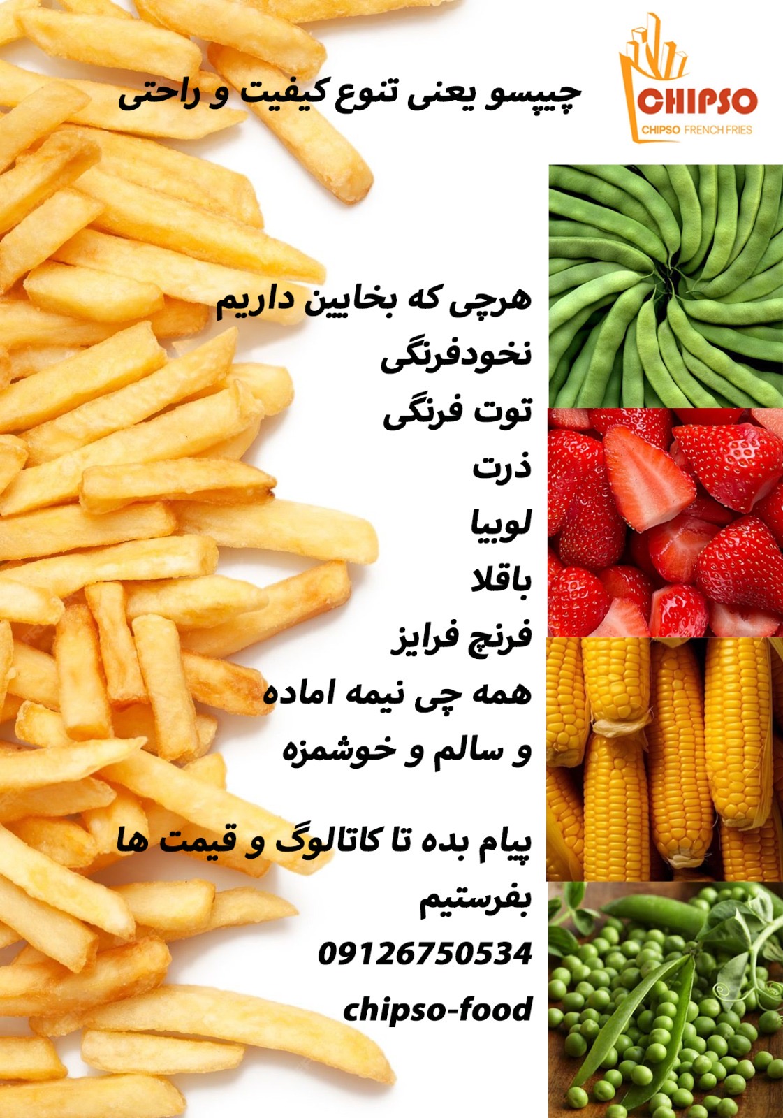 قيمت فرنج با كيفيت ارزان + خريد عمده 2