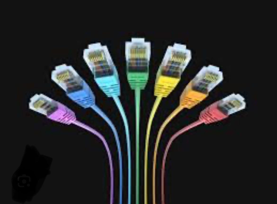 کابل lan تمام مس تست پرمننت