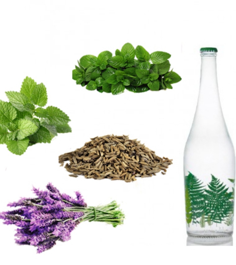 خرید و فروش عمده معجون شش عرق خنک برای تابستان و گرما 2
