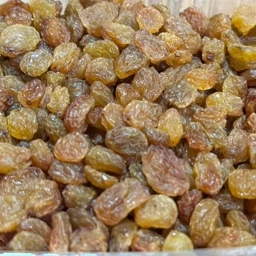 کشمش آبگیری ملکان 2