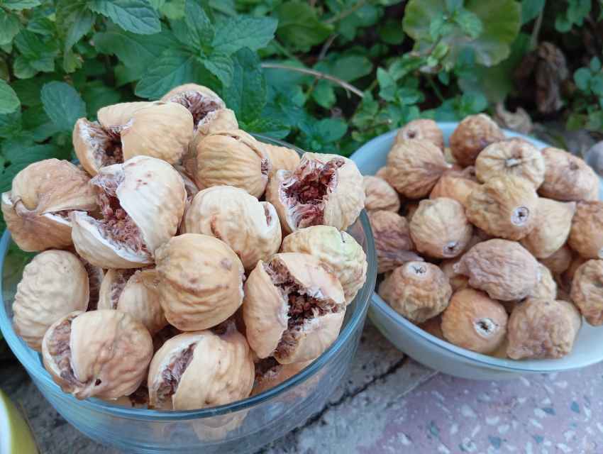 انجیر خشک صد یک مرغوب صادراتی + قیمت ویژه 2