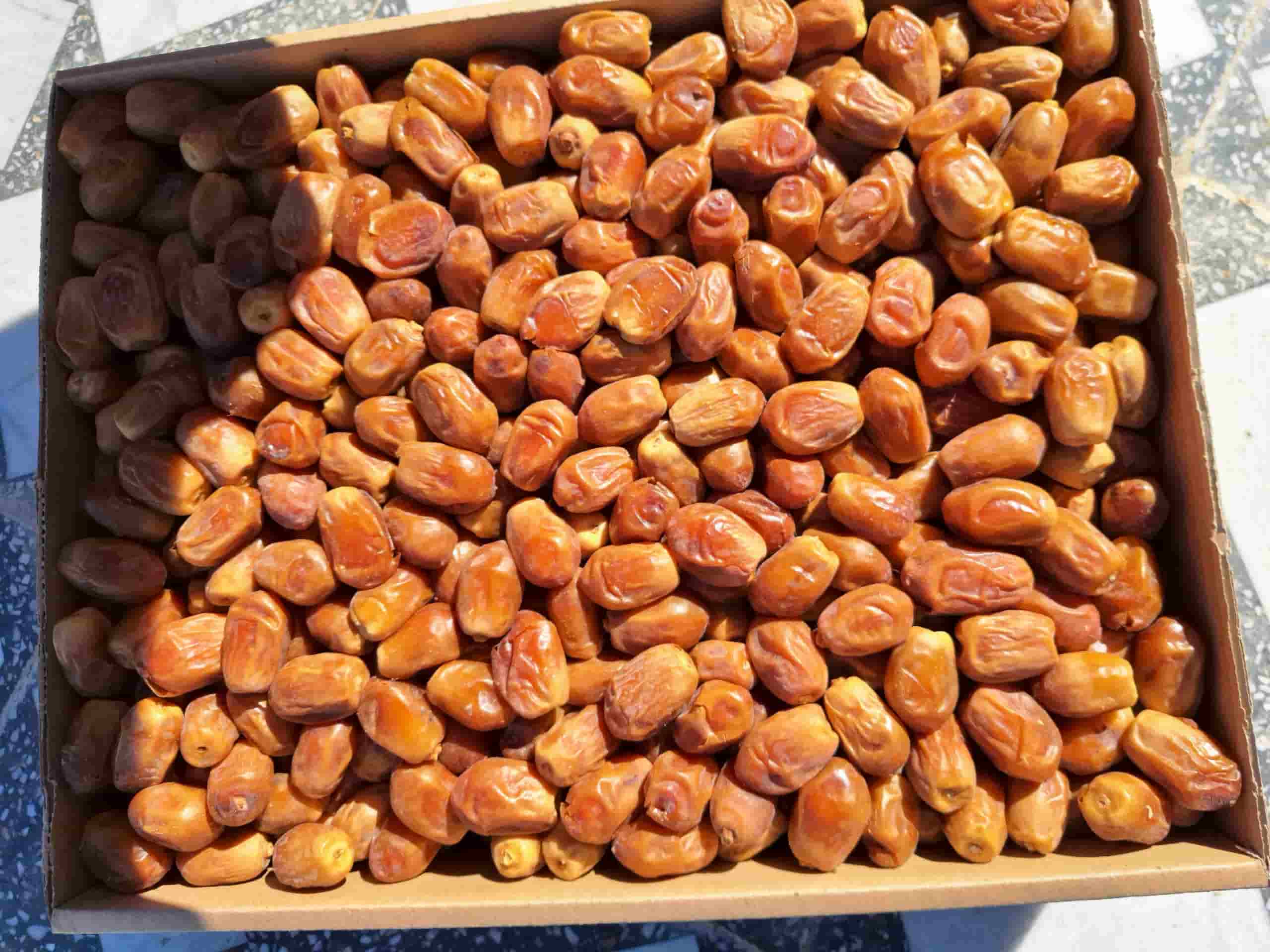 خرید خرما زاهدی سوپر لوکس + قیمت فوق العاده