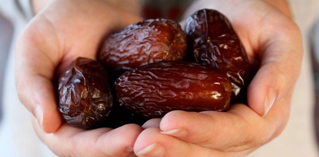 خرما کبکاب کارتنی + خرید و فروش عمده 2