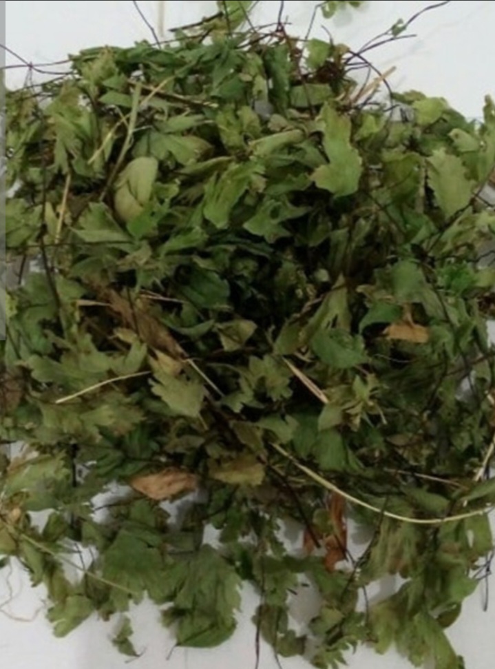 خرید پرسیاوشان اعلاء صادراتی 3