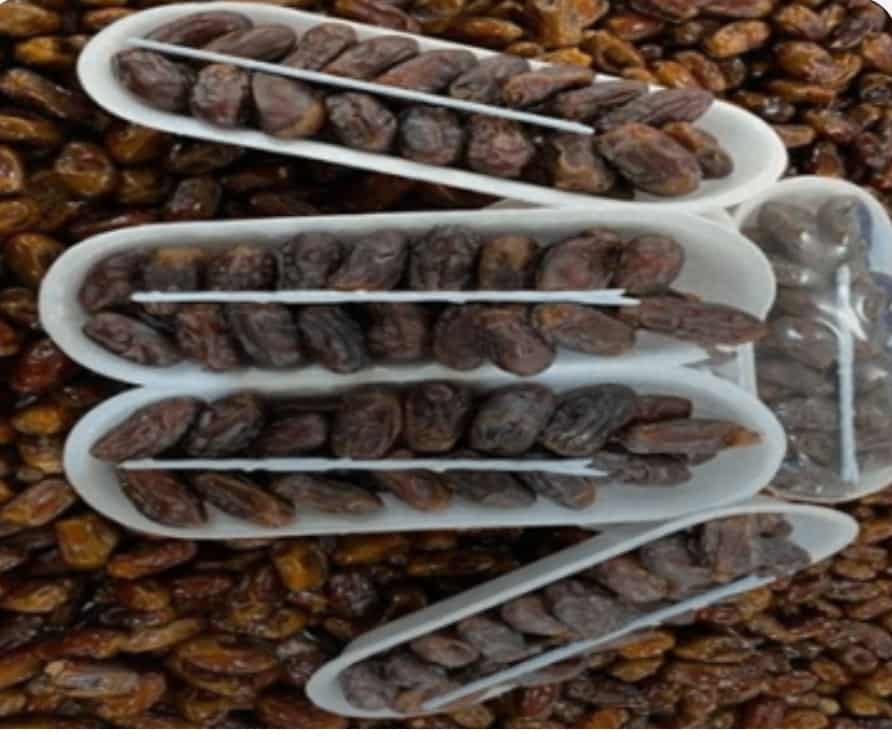 قیمت و خرید خرما دگلت نور + ارزان 3