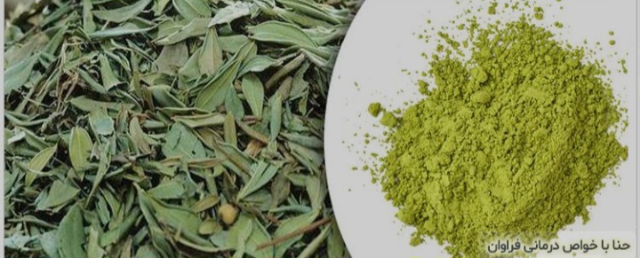 برگ حنای مرغوب یزد 4