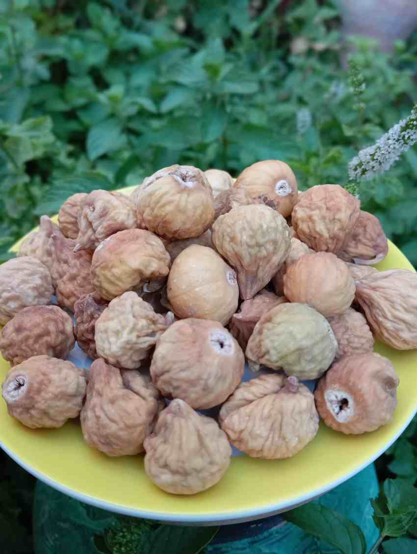 انجیر خشک ممتاز استهبان
