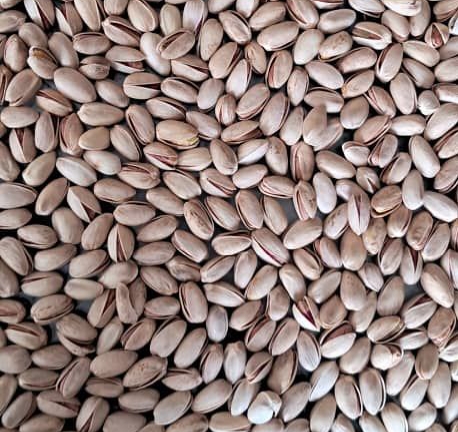 خرید پسته اکبری با کیفیت ممتاز و طعمی ماندگار 2