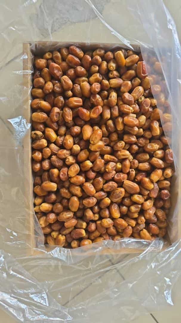 خرما درجه ۳ + قیمت ارزان 4