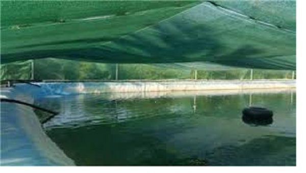 توری سایبان برای پوشش استخر اصفهان قیمت 4