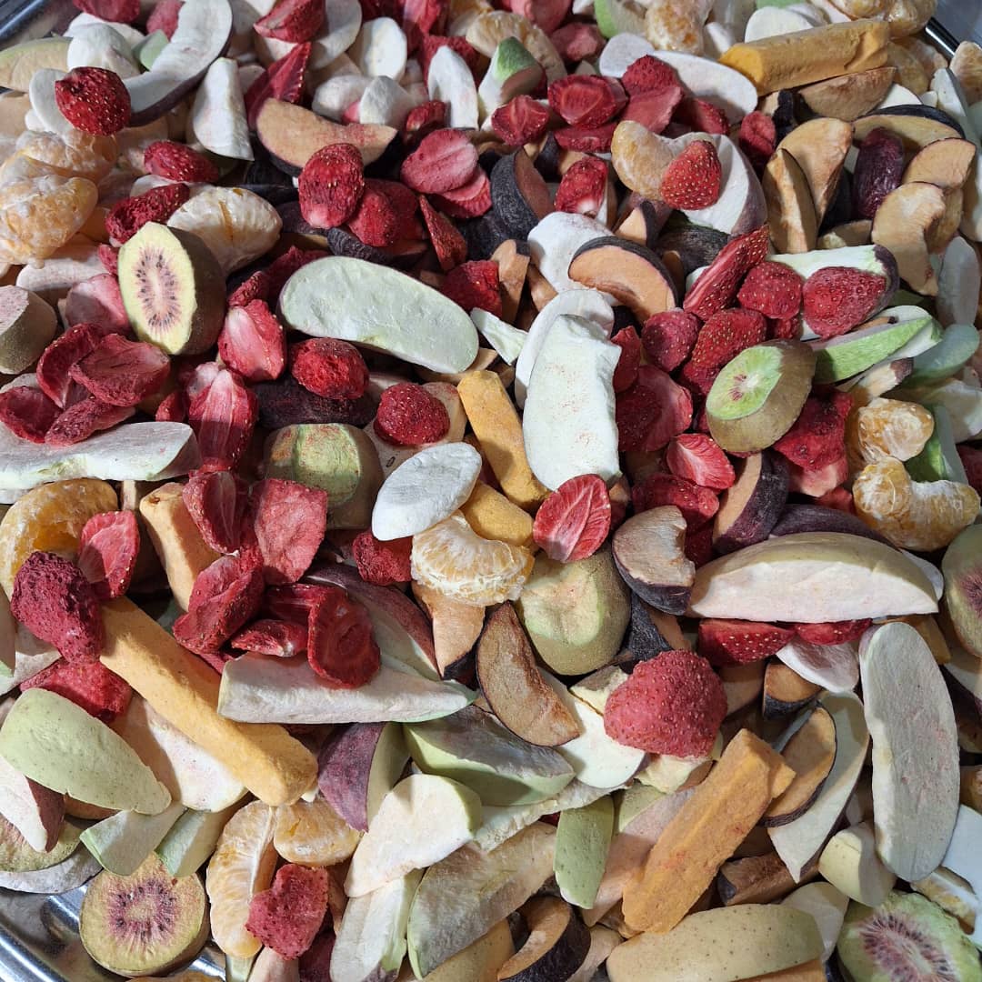 فروش عمده میوه خشک پفکی + چیپس میوه 3