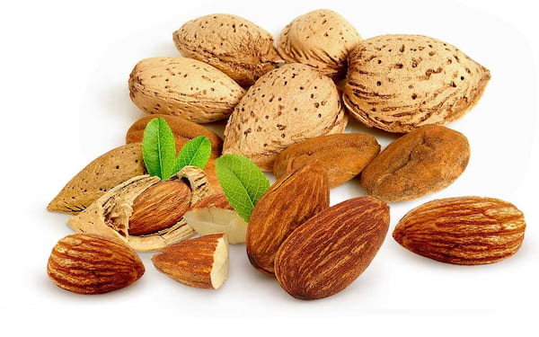 بادام درختی محلی + قیمت خرید و فروش