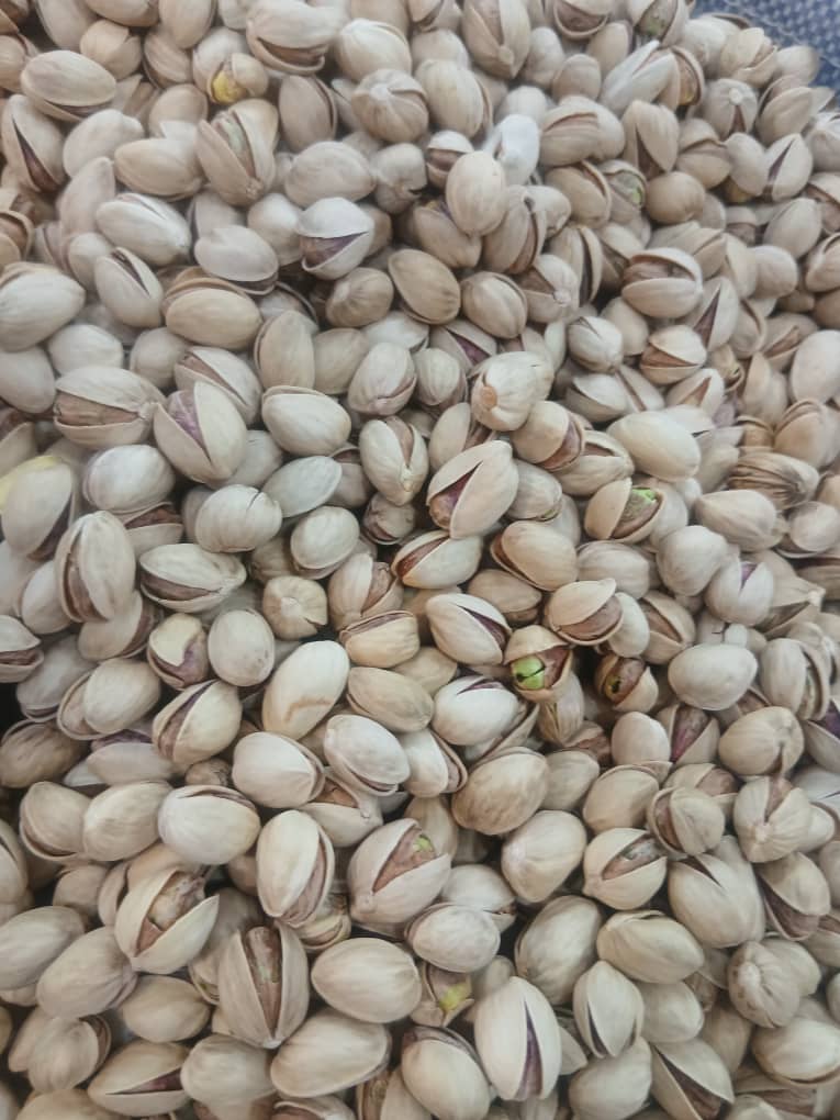 پسته اکبری درجه یک 4