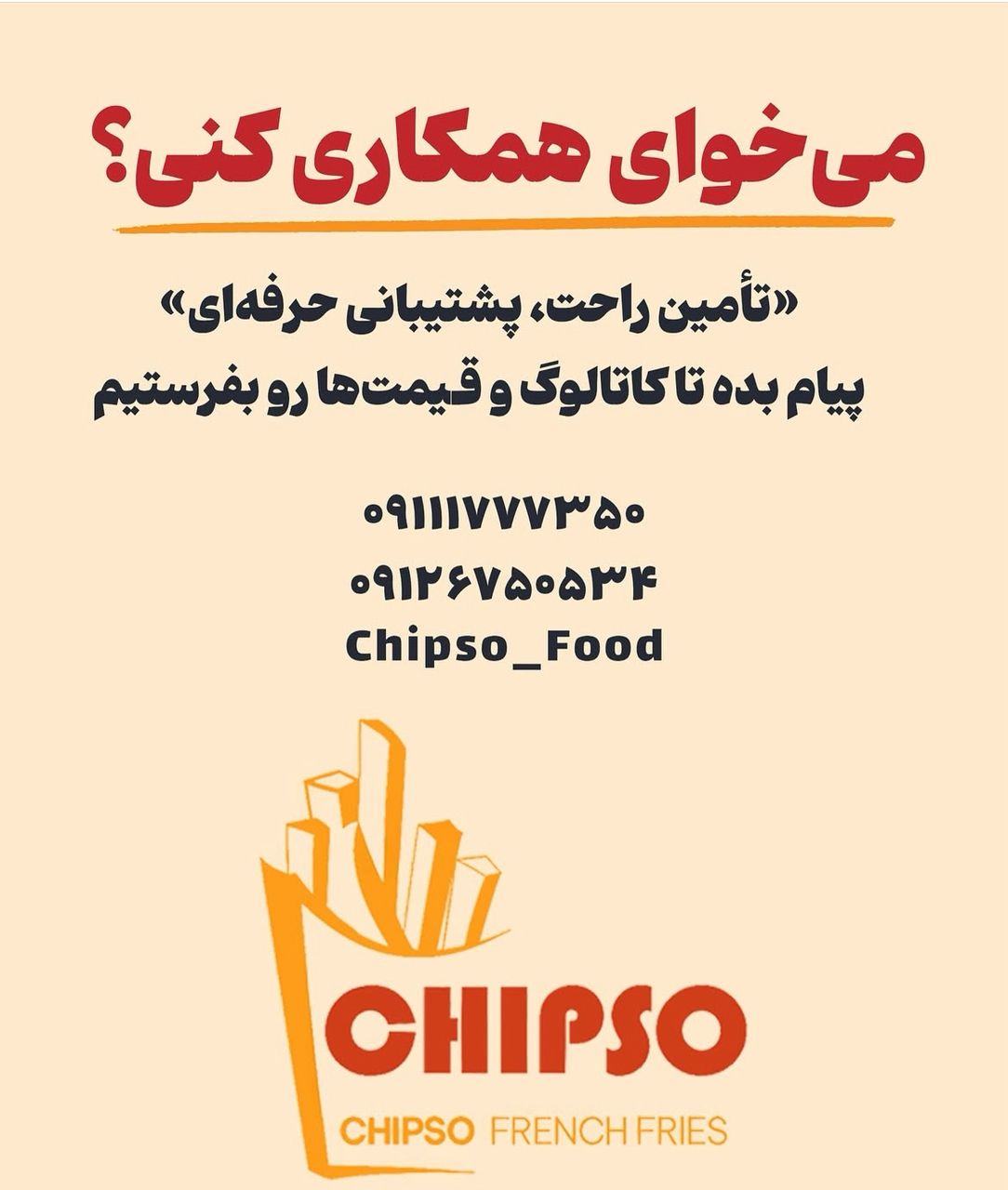 فروش عمده و ویژه انواع چیپس 2