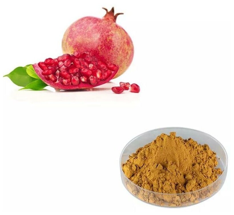 خرید و فروش پودر پوست انار + در تهران 3