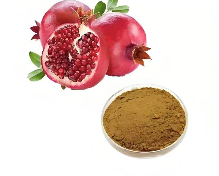 قیمت خرید پودر پوست انار + فروش عمده 2