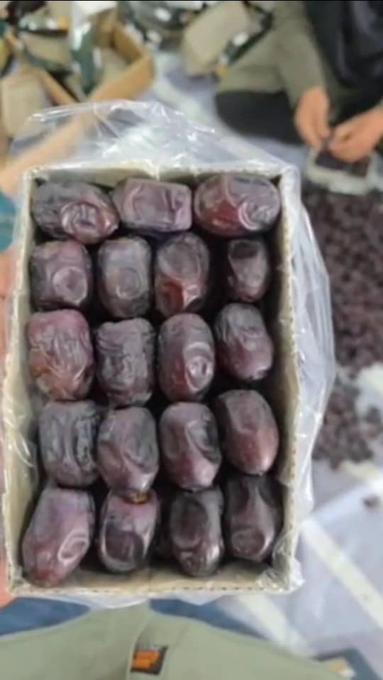 قیمت خرما مضافتی اعلا + فروش بدون واسطه 3