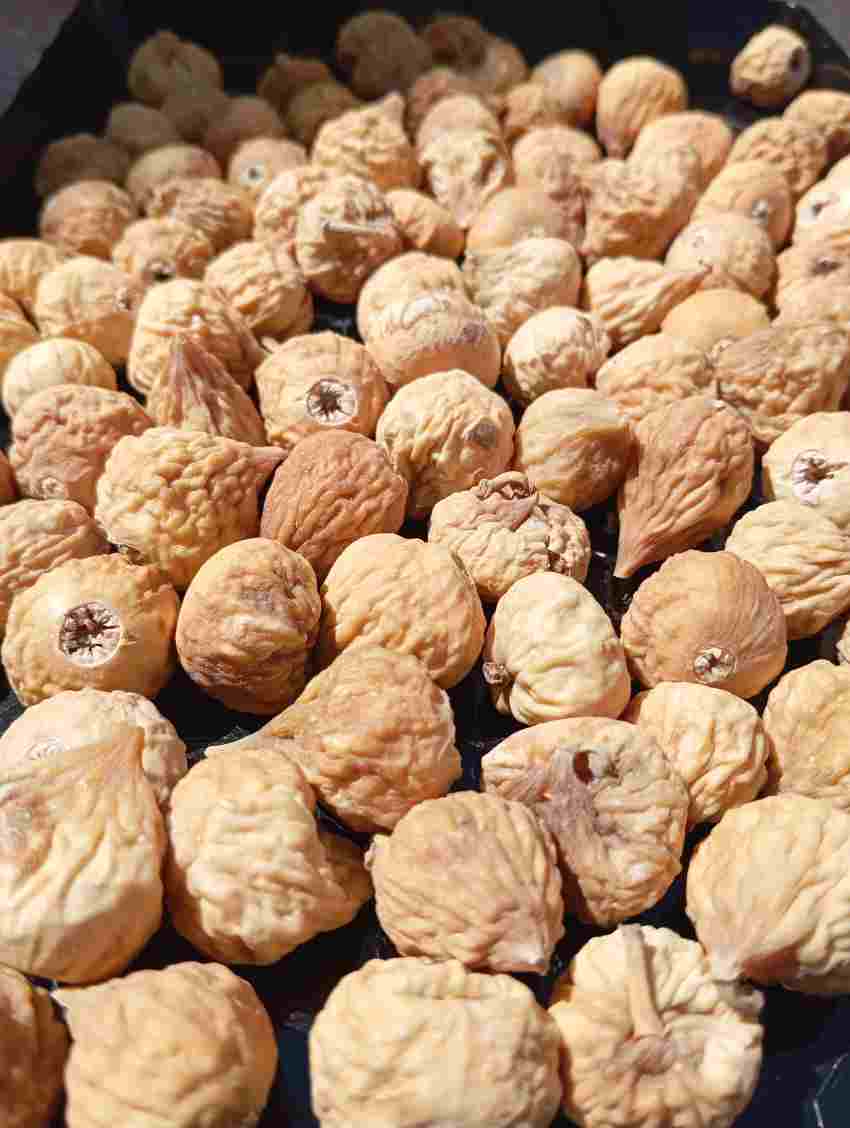 انجیر خشک آفتابی + فروش استثنایی 2