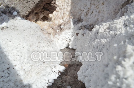 نمک چشمه صادراتی خالص طبی طبیعی فروش خرید 2