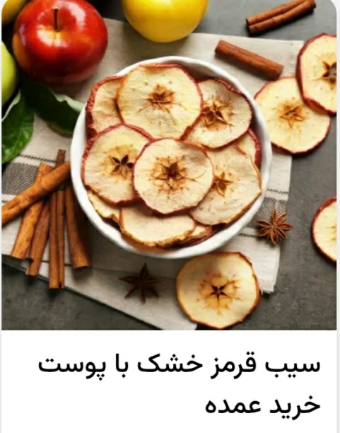 فروش میوه خشک حرارتی مخلوط 3