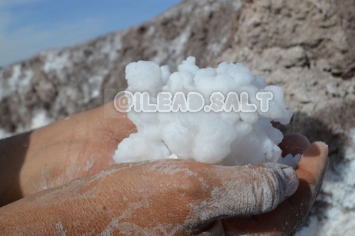 نمک چشمه شیلاتی مقرون به صرفه عمده خرید فروش 6