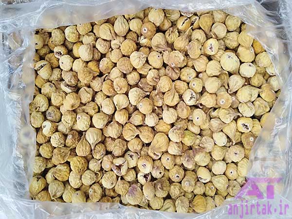 فروش انجیر بسته بندی + متنوع 5
