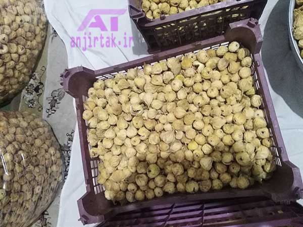 فروش انجیر بسته بندی + متنوع 3