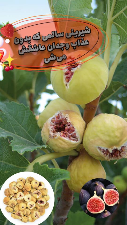 خشکبار مرغوب + قیمت مناسب 2