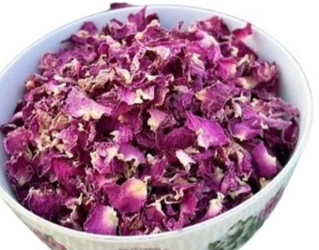 غنچه گل محمدی گلستان انتخابی سالم و خوشعطر