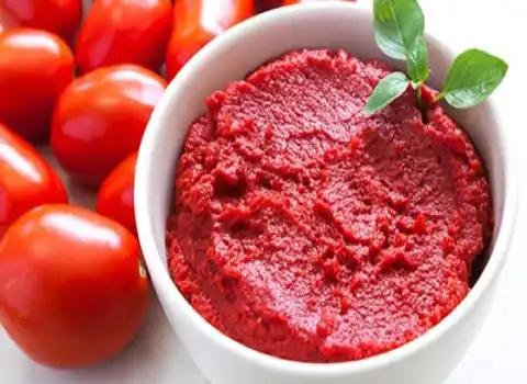کنسرو رب گوجه فرنگی ۴۰۰ گرمی + فروش عمده 2