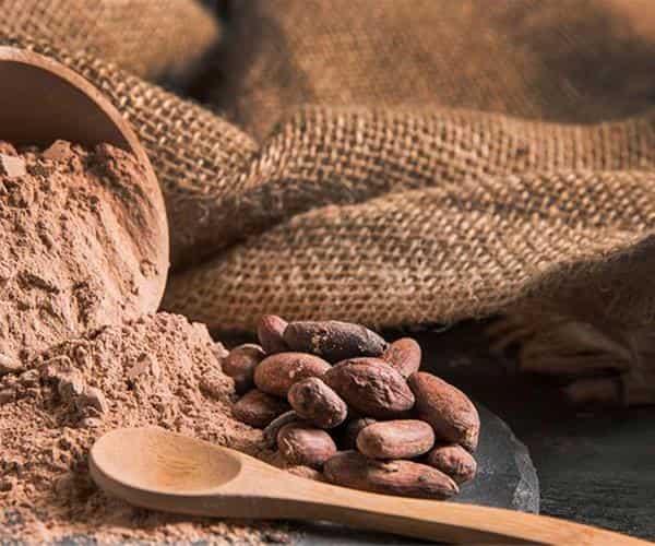 خرید و قیمت آرد هسته خرما + فروش عمده 2