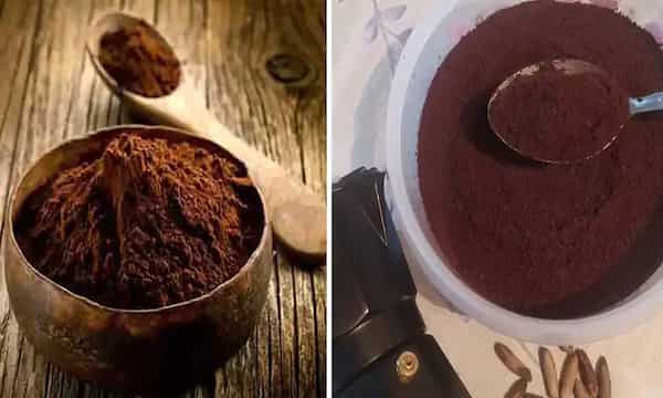 خرید و قیمت آرد هسته خرما + فروش عمده 3