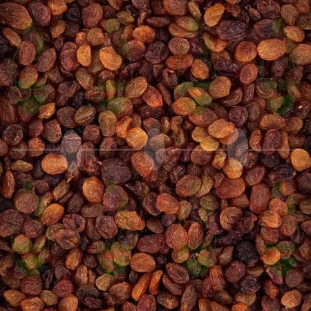 خرید و قیمت انواع کشمش بوانات