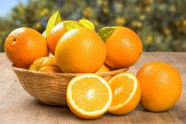 قیمت پرتقال نافی جنوب + پخش تولیدی عمده کارخانه 4