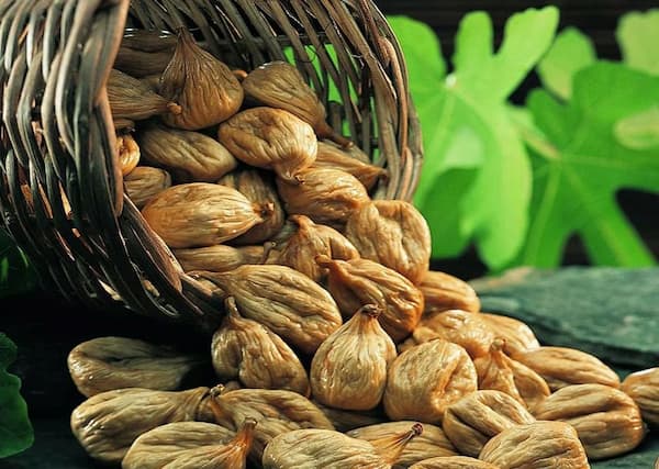 قیمت روز انجیر خشک غنچه 2