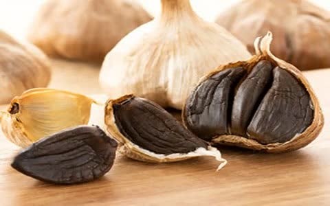 قیمت خرید سیر سیاه اصل تازه + به صرفه و ارزان