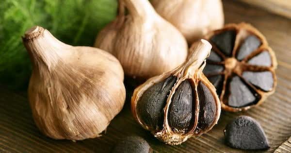 قیمت خرید سیر سیاه مشهد + فروش ویژه