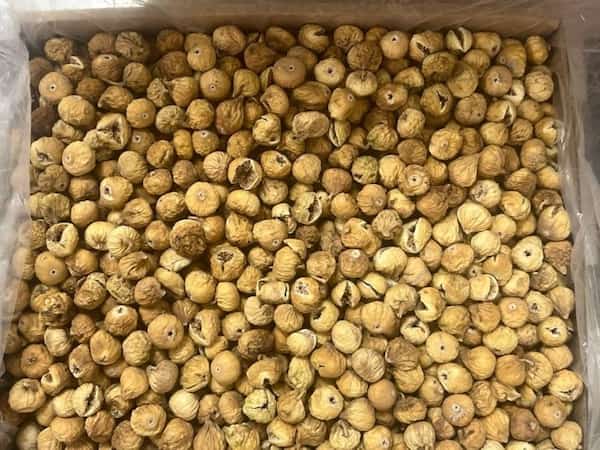 خرید و قیمت انجیر خشک آردی غنچه + فروش عمده 3