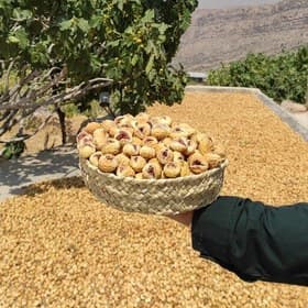خرید و قیمت انجیر خشک آردی زرد + فروش عمده 5