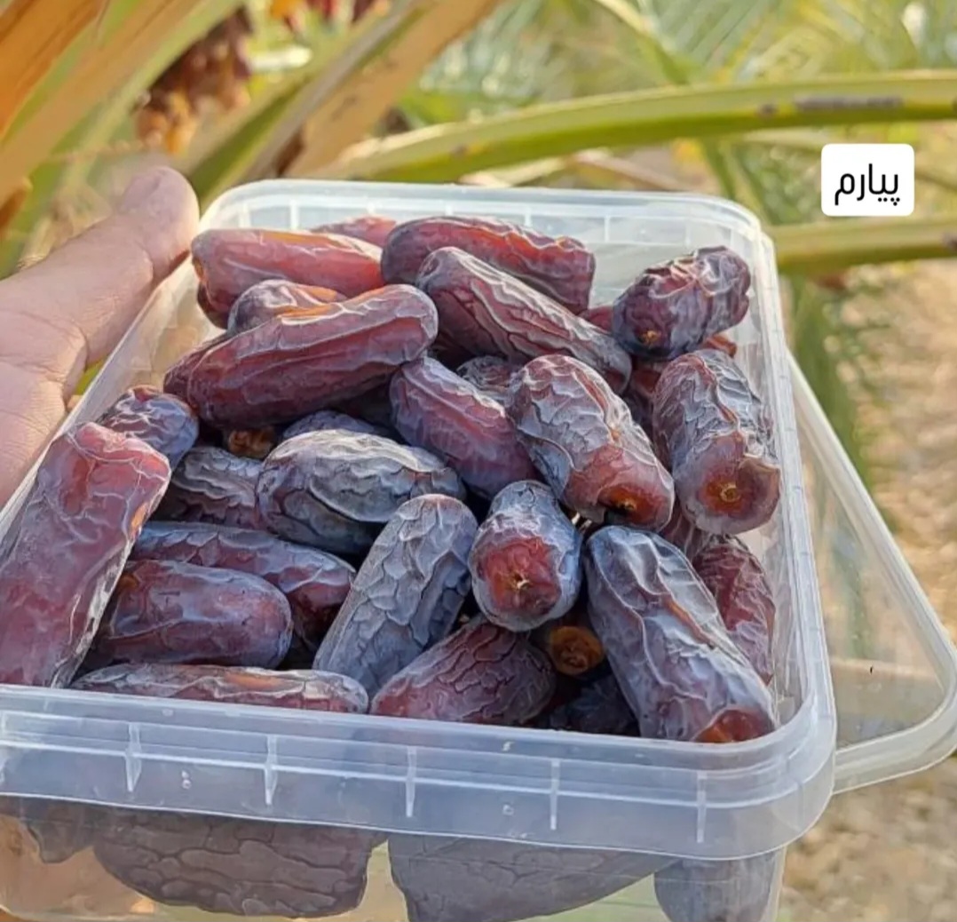 خرمای پیارم جاجی آباد + قیمت