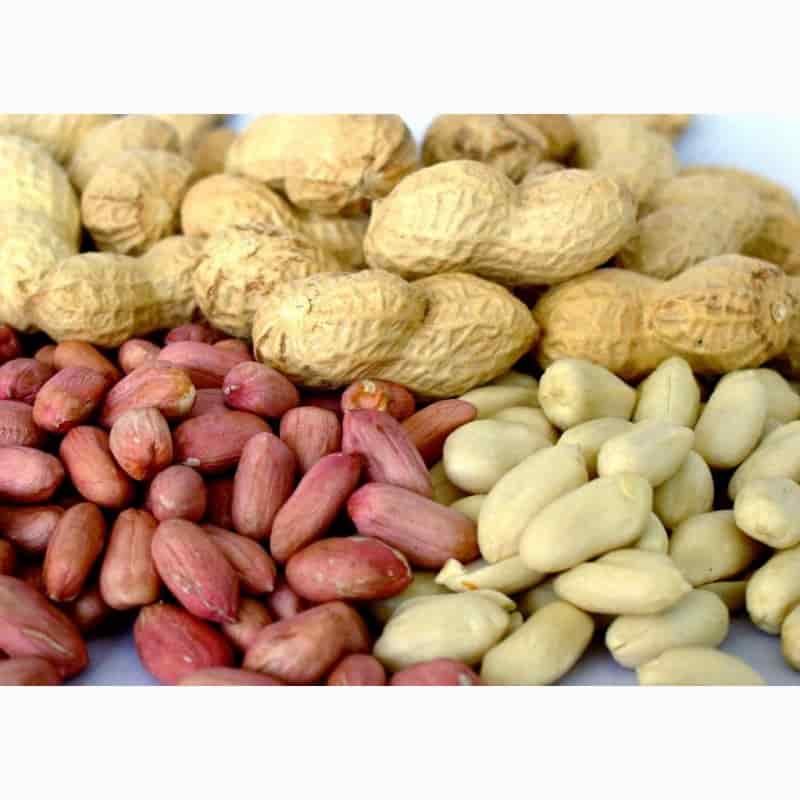 خرید بادام کیلویی + قیمت فروش استثنایی 5
