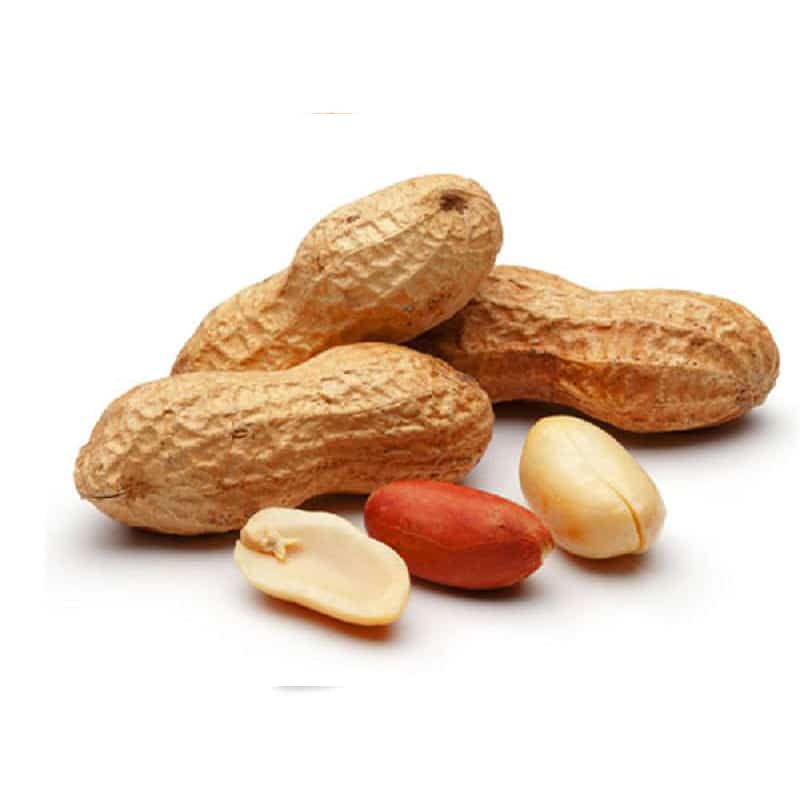 خرید بادام کیلویی + قیمت فروش استثنایی 2