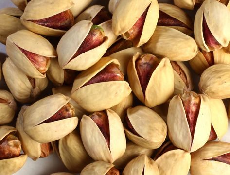 خرید و قیمت پسته کوهی + فروش عمده 2