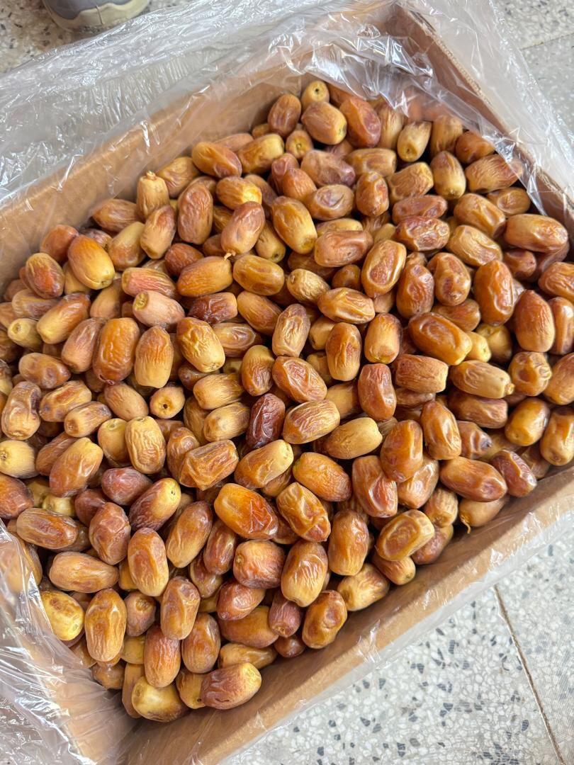 خرما زاهدی بوشهر + خرید 2