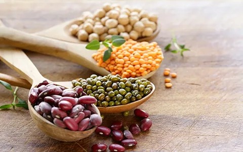 عرضه و خرید کنسرو حبوبات 5