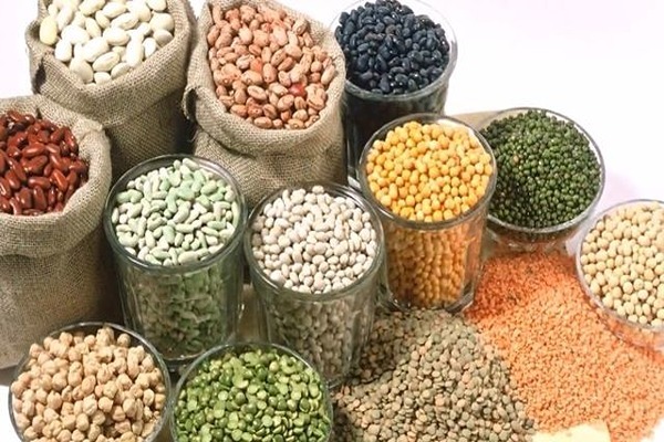 عرضه و خرید کنسرو حبوبات 3