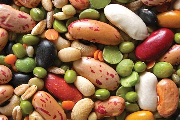 عرضه و خرید کنسرو حبوبات 4